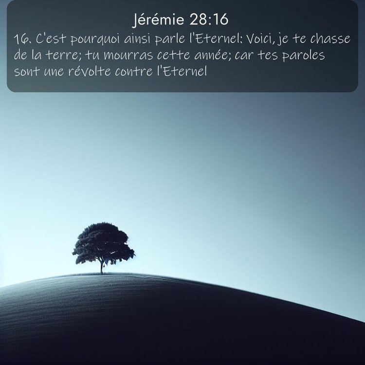 Segond Jérémie 28:16