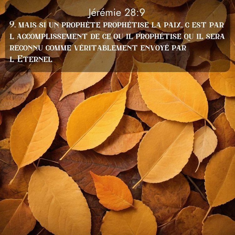 Segond Jérémie 28:9