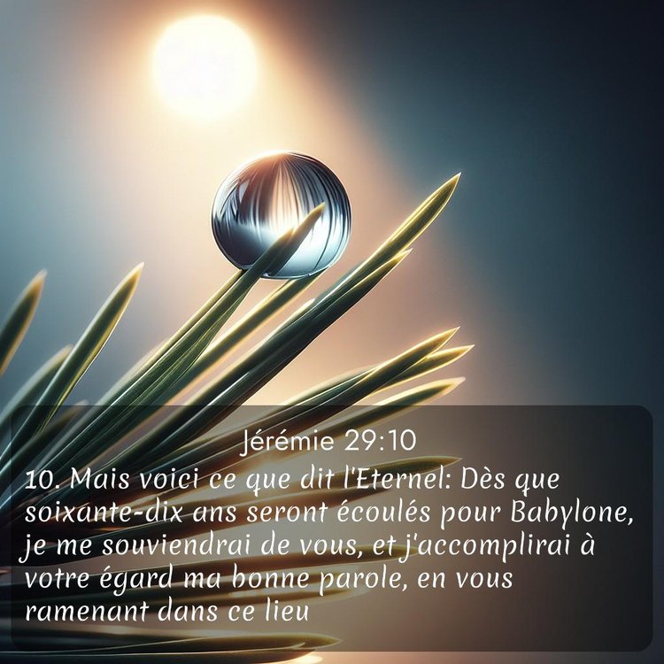 Segond Jérémie 29:10