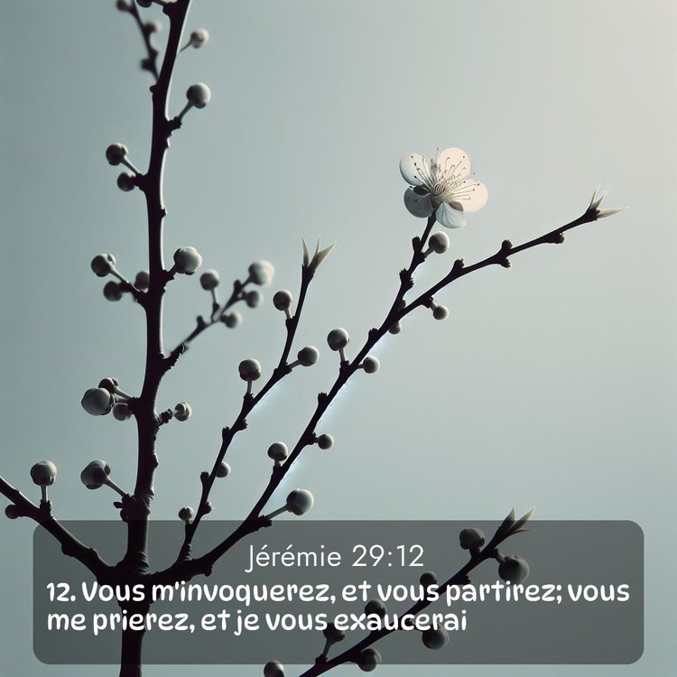 Segond Jérémie 29:12