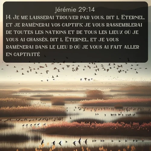 Segond Jérémie  ; image nature: image avec le verset biblique :Je me laisserai trouver par vous, dit l&#039;Eternel, et je ramènerai vos captifs; je vous rassemblerai de toutes les nations et de tous les lieux où je vous ai chassés, dit l&#039;Eternel, et je vous ramènerai dans le lieu d&#039;où je vous ai fait aller en captivité. ;  ; 29:14