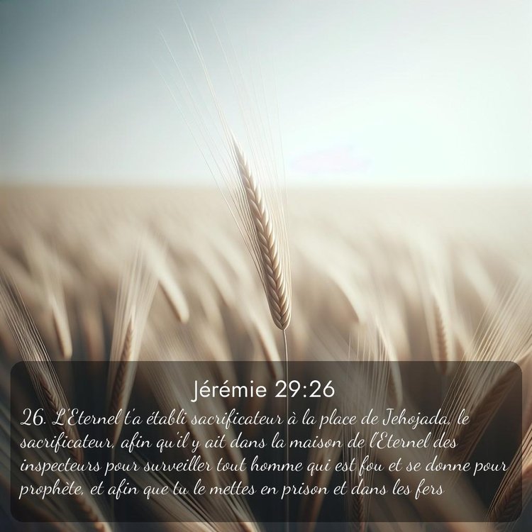 Segond Jérémie 29:26