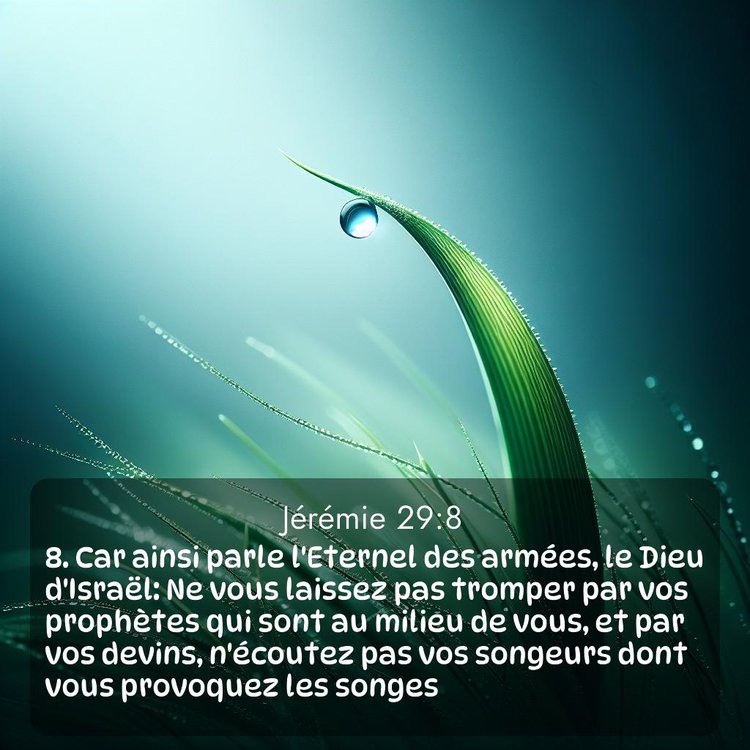 Segond Jérémie 29:8