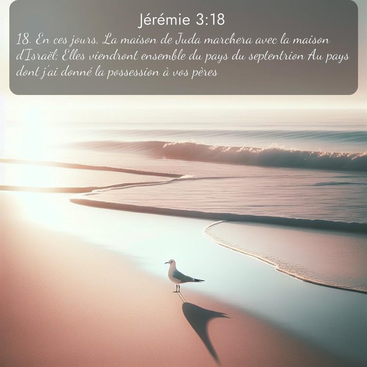 Segond Jérémie 3:18