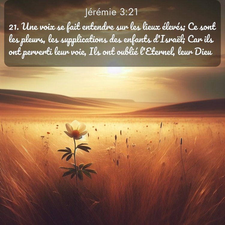 Segond Jérémie 3:21