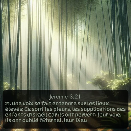 Segond Jérémie  ; image nature: image avec le verset biblique :Une voix se fait entendre sur les lieux élevés; Ce sont les pleurs, les supplications des enfants d&#039;Israël; Car ils ont perverti leur voie, Ils ont oublié l&#039;Eternel, leur Dieu. ;  ; 3:21