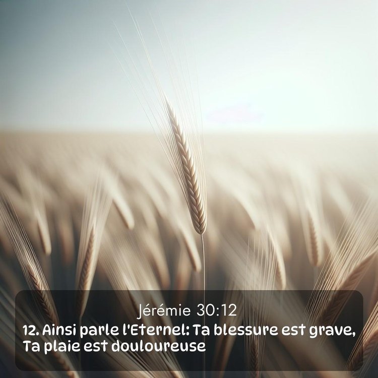 Segond Jérémie 30:12