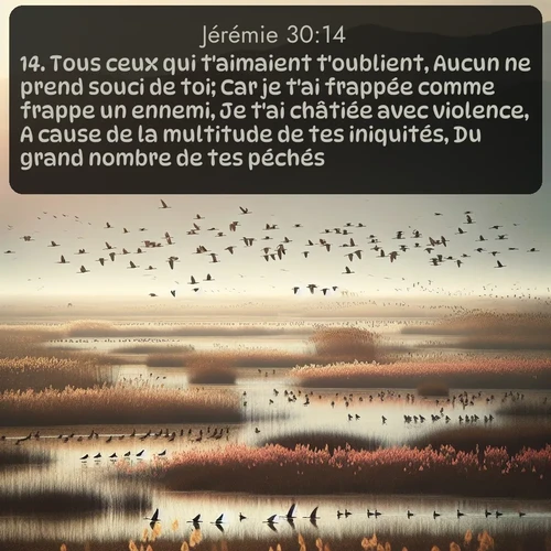 Segond Jérémie  ; image nature: image avec le verset biblique :Tous ceux qui t&#039;aimaient t&#039;oublient, Aucun ne prend souci de toi; Car je t&#039;ai frappée comme frappe un ennemi, Je t&#039;ai châtiée avec violence, A cause de la multitude de tes iniquités, Du grand nombre de tes péchés. ;  ; 30:14