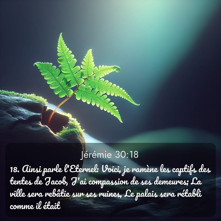 Segond Jérémie 30:18