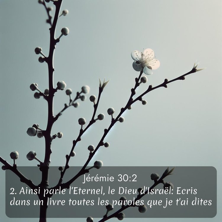 Segond Jérémie 30:2