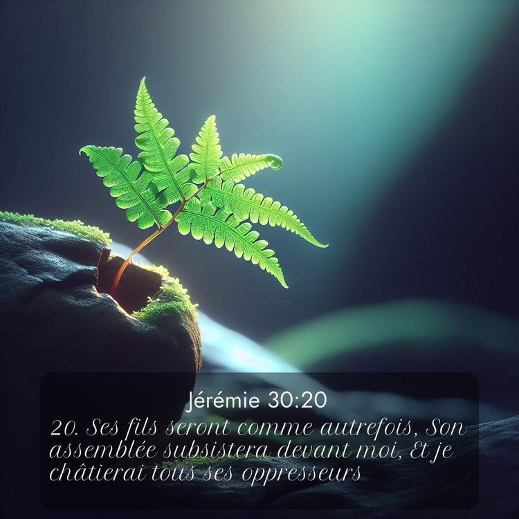 Segond Jérémie 30:20