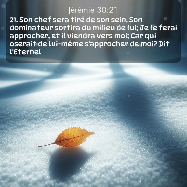 Segond Jérémie 30:21