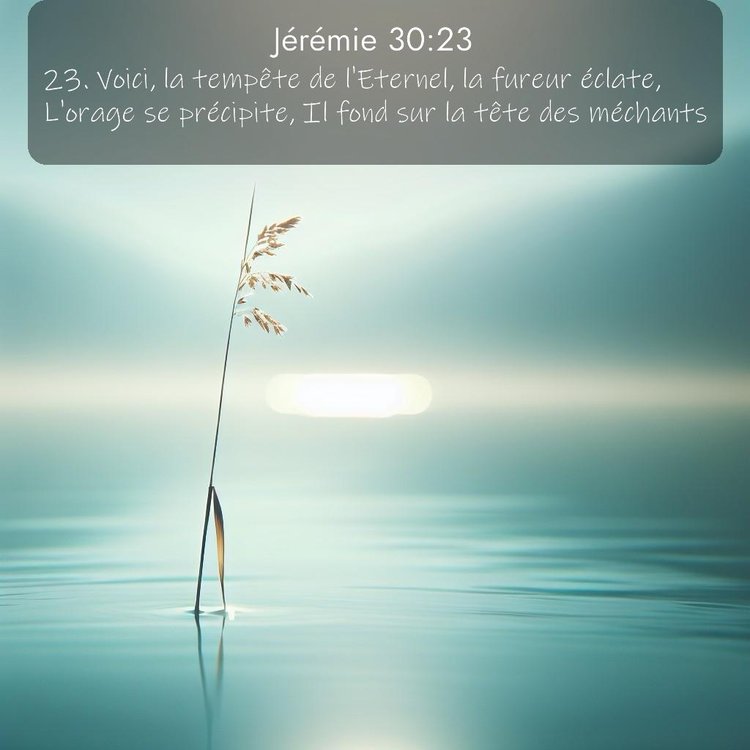 Segond Jérémie 30:23