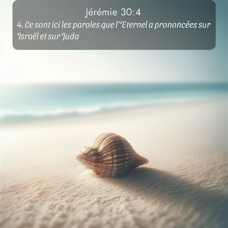 Segond Jérémie 30:4