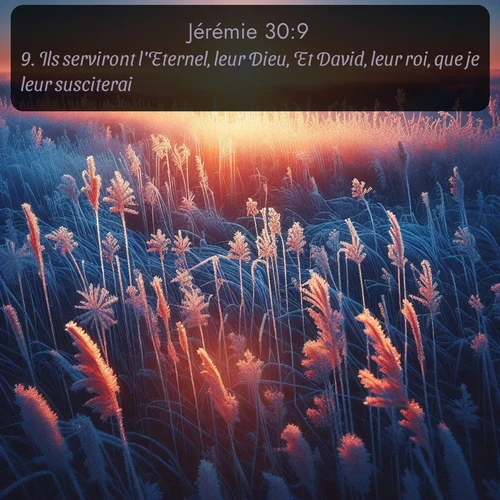 Segond Jérémie  ; image nature: image avec le verset biblique :Ils serviront l&#039;Eternel, leur Dieu, Et David, leur roi, que je leur susciterai. ;  ; 30:9