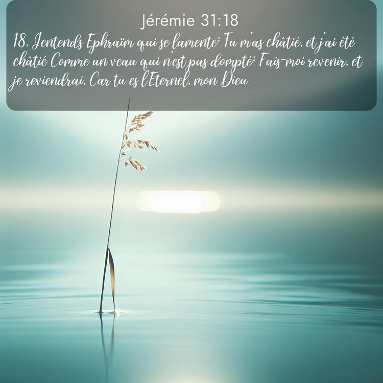 Segond Jérémie 31:18