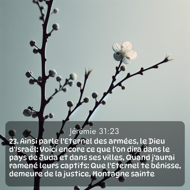 Segond Jérémie 31:23