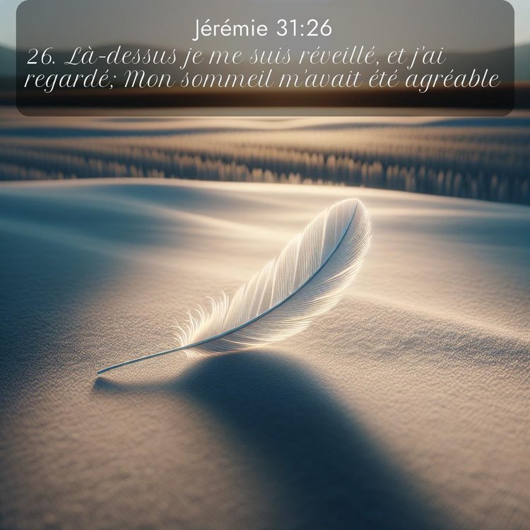 Segond Jérémie 31:26