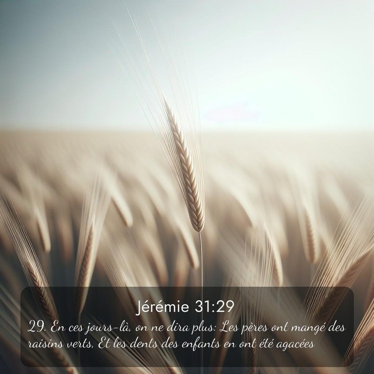 Segond Jérémie 31:29