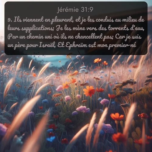 Segond Jérémie  ; image nature: image avec le verset biblique :Ils viennent en pleurant, et je les conduis au milieu de leurs supplications; Je les mène vers des torrents d&#039;eau, Par un chemin uni où ils ne chancellent pas; Car je suis un père pour Israël, Et Ephraïm est mon premier-né. ;  ; 31:9