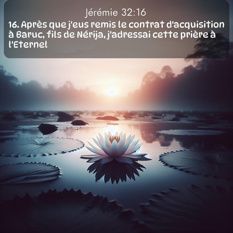 Segond Jérémie 32:16