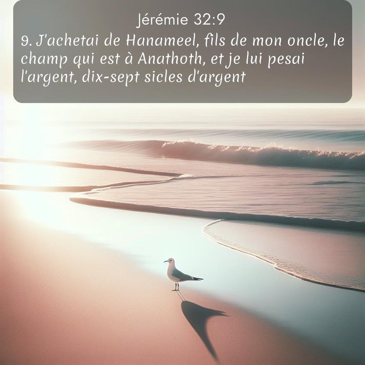 Segond Jérémie 32:9