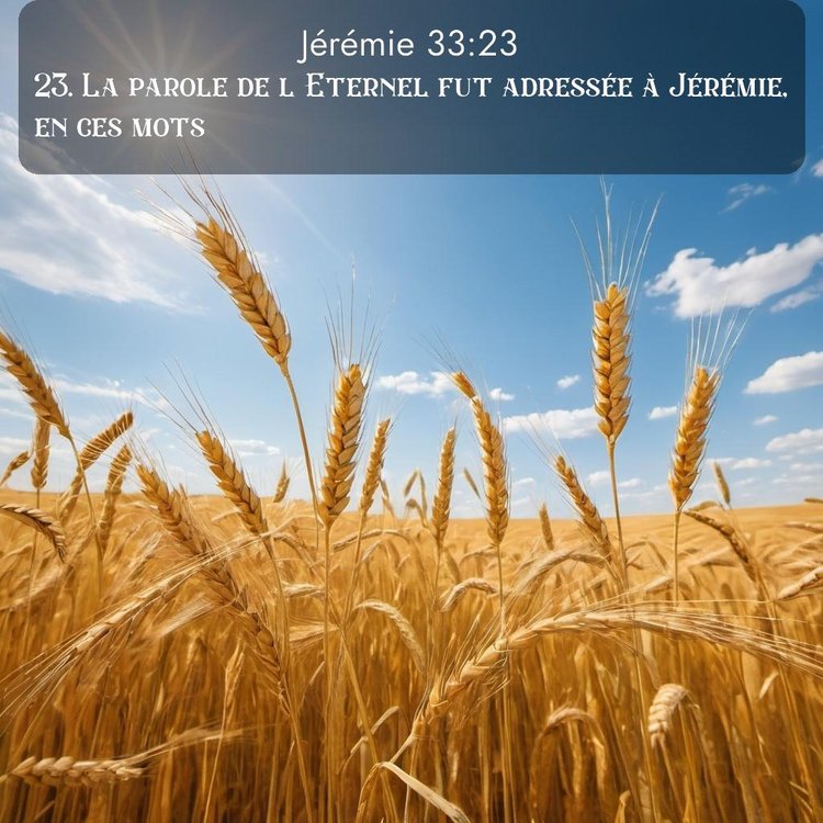 Segond Jérémie 33:23