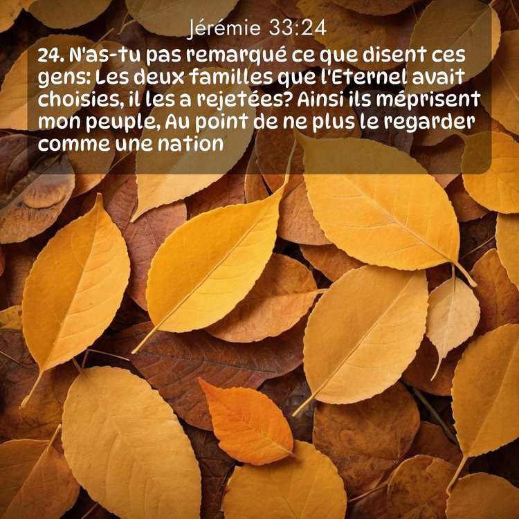 Segond Jérémie 33:24