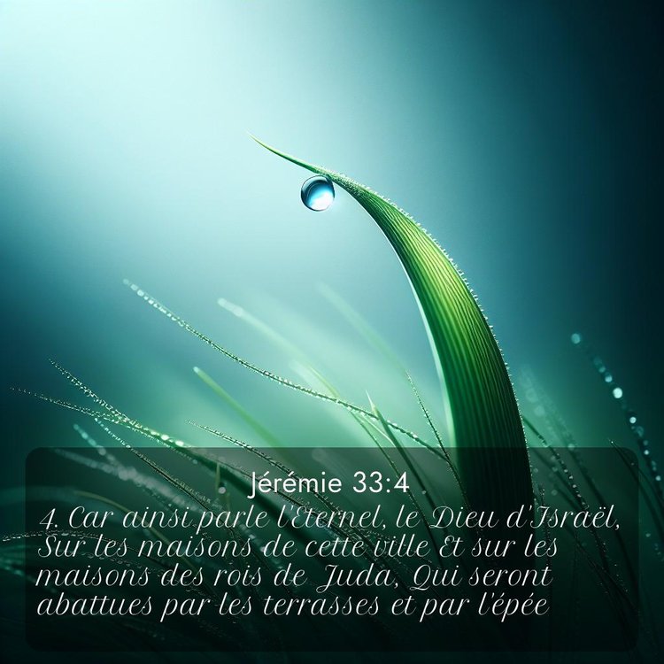 Segond Jérémie 33:4