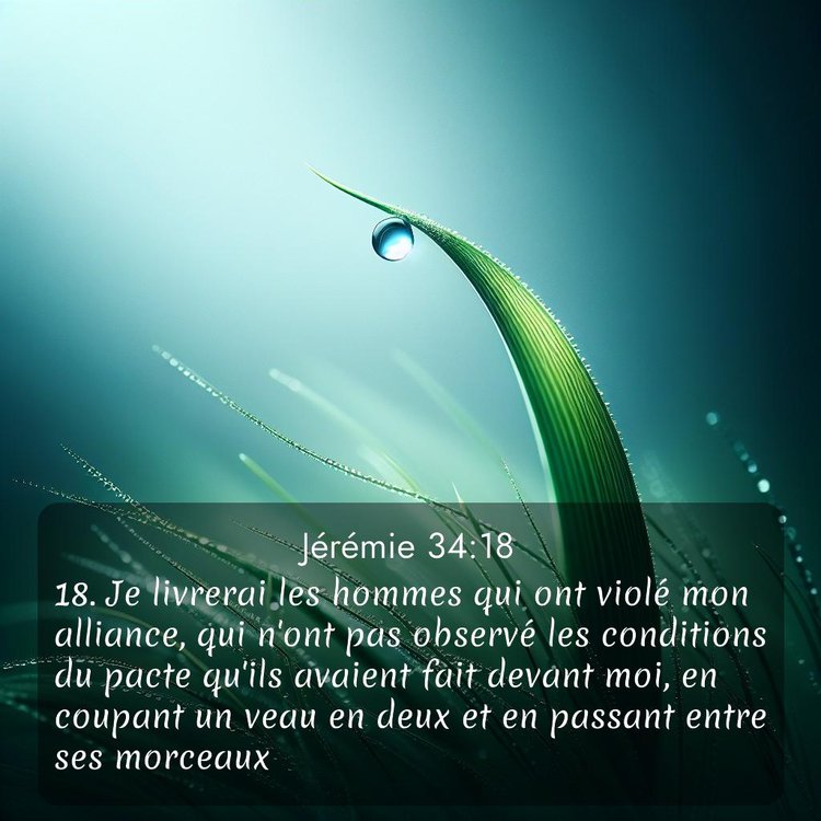 image nature avec verset biblique de la Bible