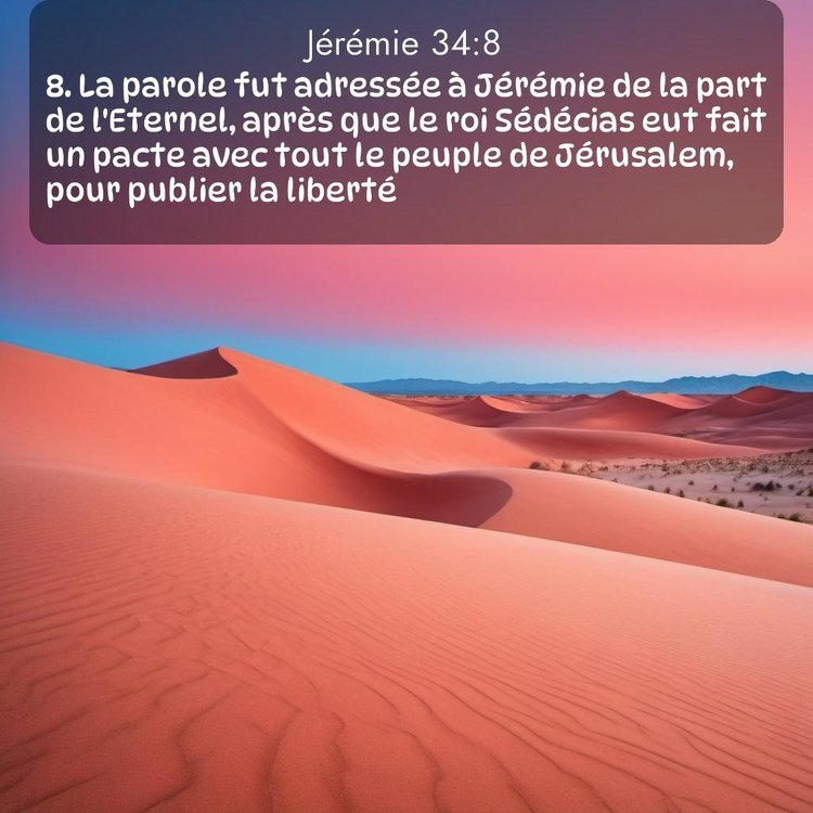 Segond Jérémie 34:8