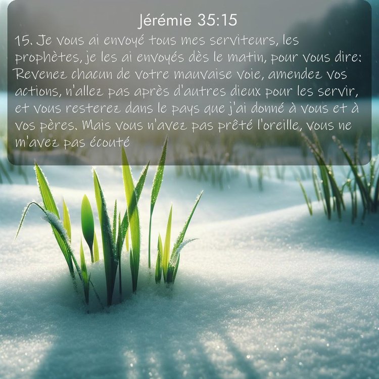 Segond Jérémie 35:15