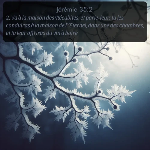 Segond Jérémie  ; image nature: image avec le verset biblique :Va à la maison des Récabites, et parle-leur; tu les conduiras à la maison de l&#039;Eternel, dans une des chambres, et tu leur offriras du vin à boire. ;  ; 35:2