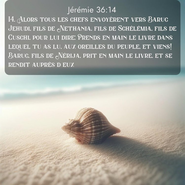 Segond Jérémie 36:14