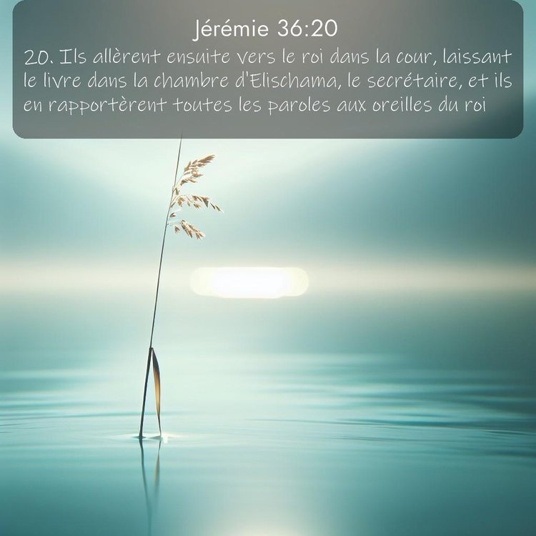 Segond Jérémie 36:20