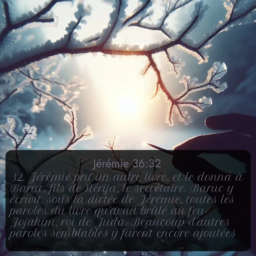 Segond Jérémie  ; image nature: image avec le verset biblique :Jérémie prit un autre livre, et le donna à Baruc, fils de Nérija, le secrétaire. Baruc y écrivit, sous la dictée de Jérémie, toutes les paroles du livre qu&#039;avait brûlé au feu Jojakim, roi de Juda. Beaucoup d&#039;autres paroles semblables y furent encore ajoutées. ;  ; 36:32