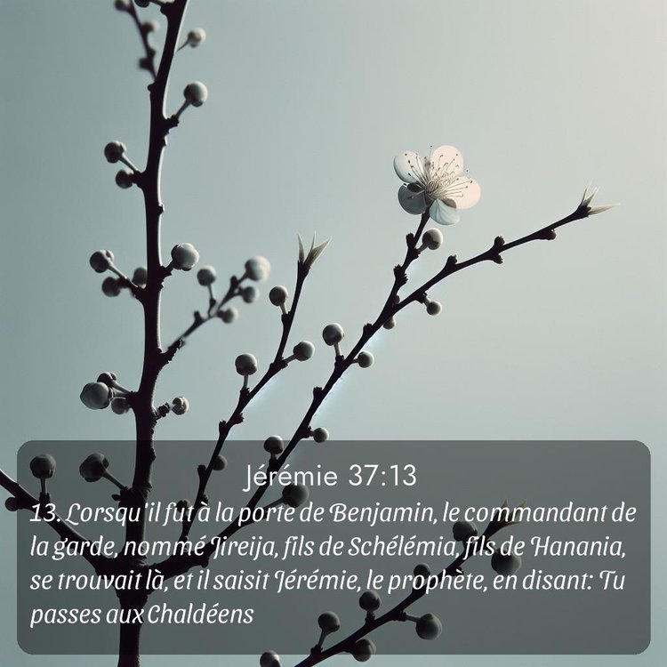 Segond Jérémie 37:13