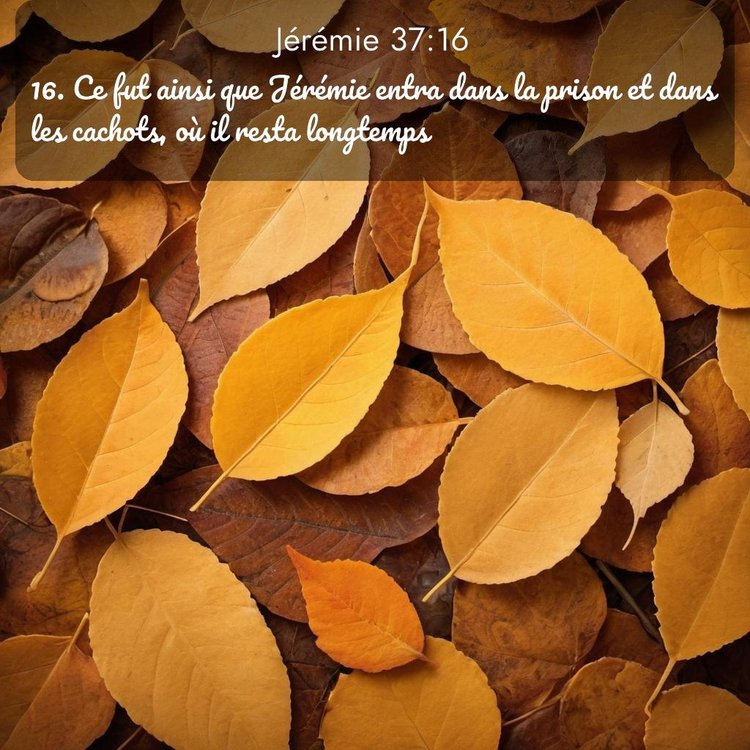 Segond Jérémie 37:16