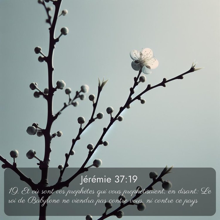 Segond Jérémie 37:19