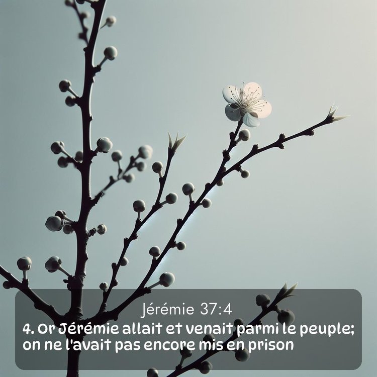image nature avec verset biblique de la Bible