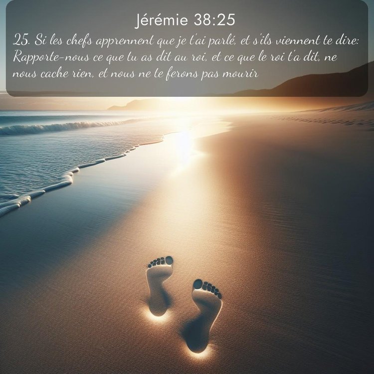 Segond Jérémie 38:25