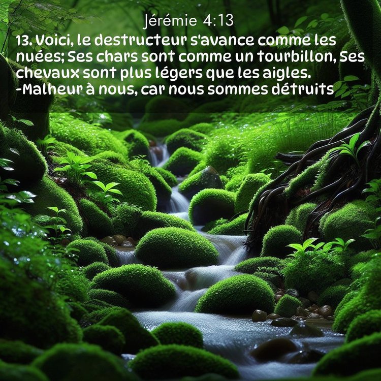 Segond Jérémie 4:13