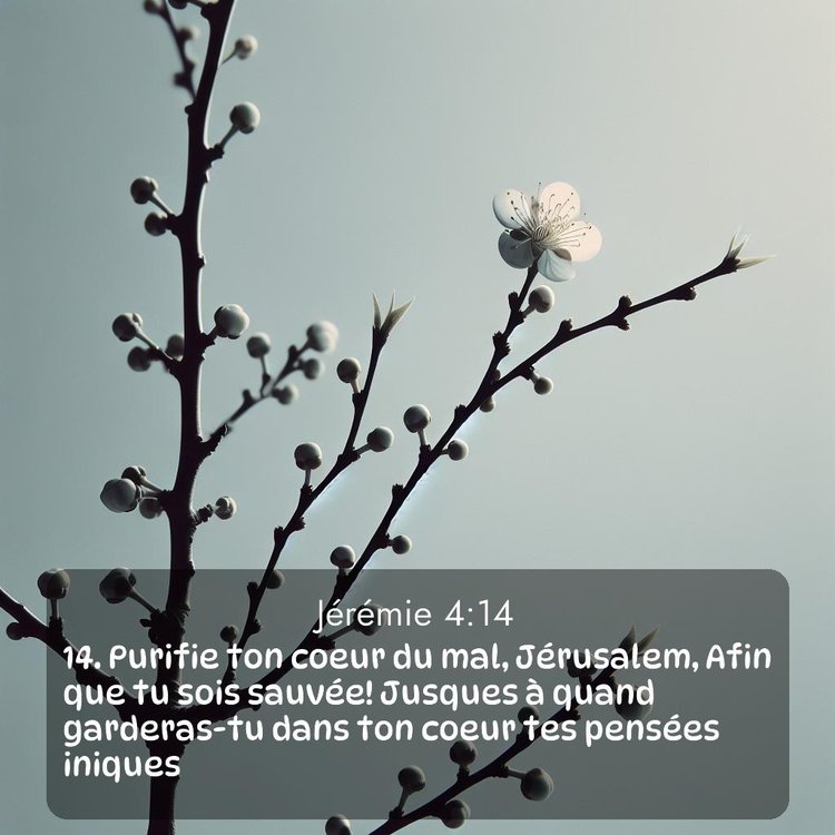 Segond Jérémie 4:14