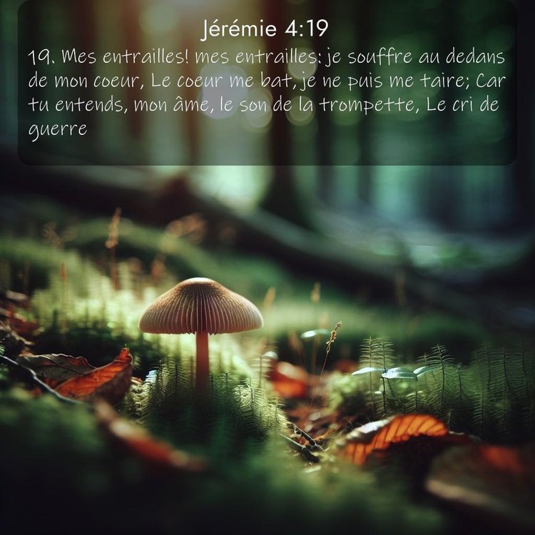 Segond Jérémie 4:19