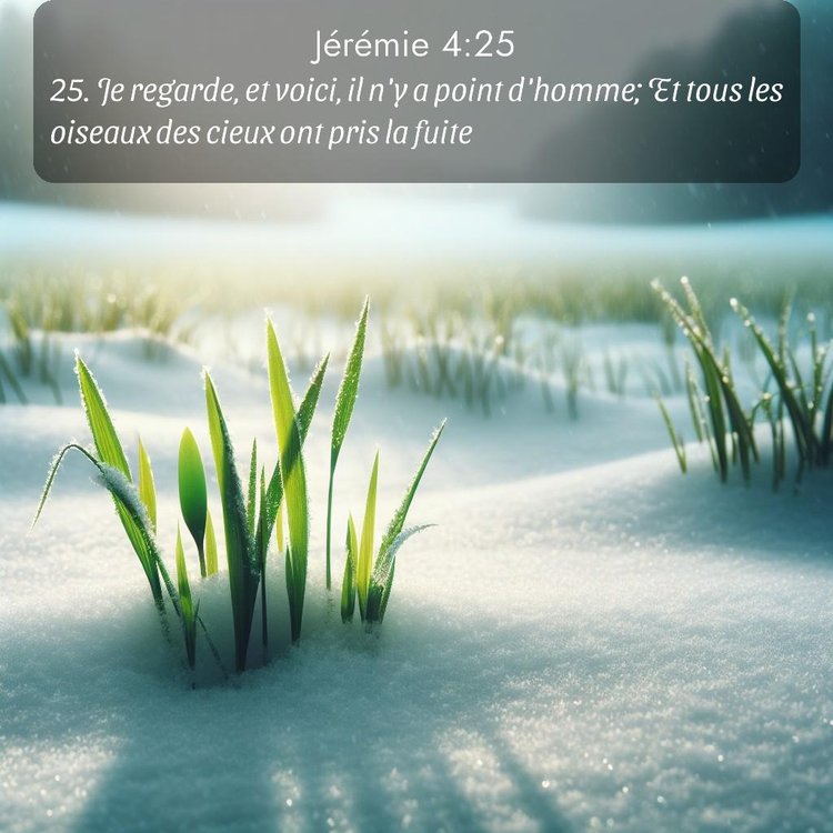 Segond Jérémie 4:25