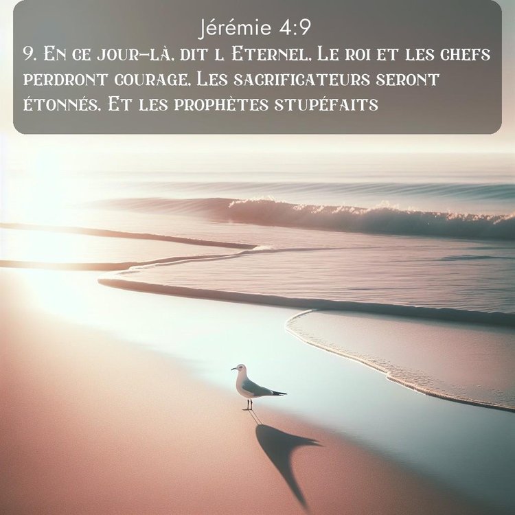 Segond Jérémie 4:9