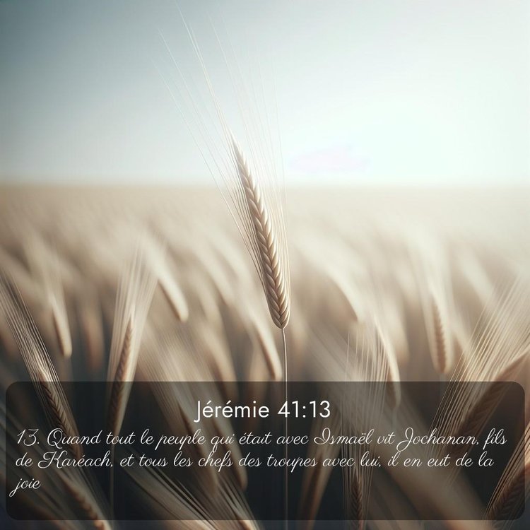 Segond Jérémie 41:13