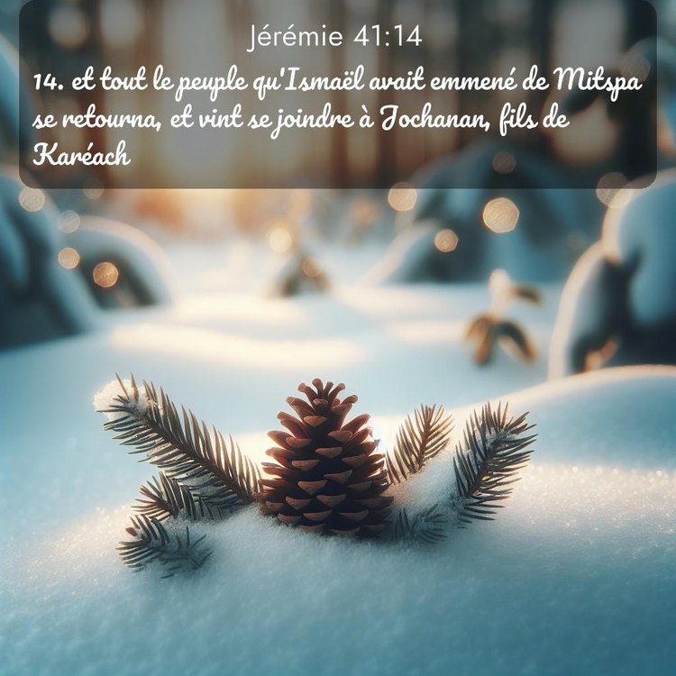 Segond Jérémie 41:14