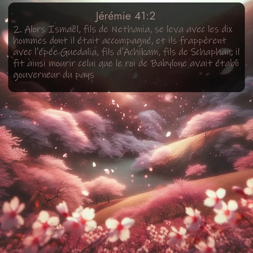 Segond 24 41:2