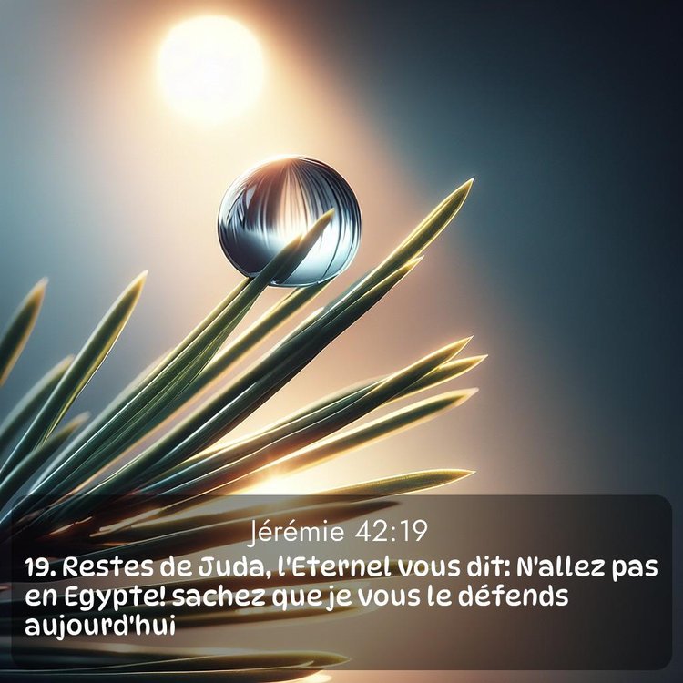 Segond Jérémie 42:19